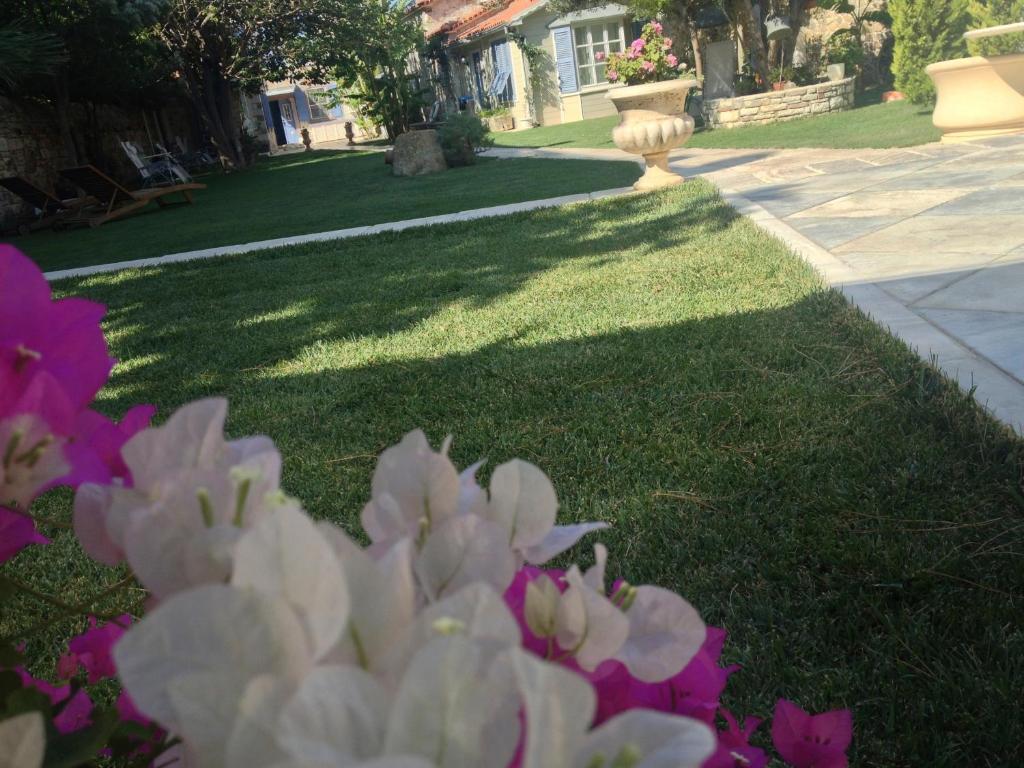Lola 38 Hotel Foça Ngoại thất bức ảnh